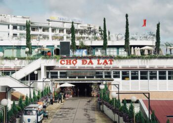 banh can da lat illustration for Bánh căn Đà Lạt: Review 5 quán ngon chuẩn vị bản địa tuyệt vời