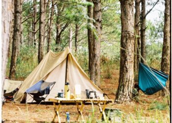 do dung cam trai qua dem illustration for Đồ dùng cắm trại qua đêm: Bí quyết chuẩn bị camping hoàn hảo