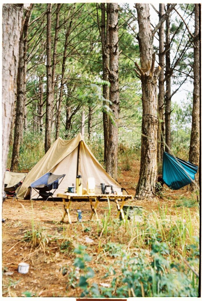do dung cam trai qua dem illustration for Đồ dùng cắm trại qua đêm: Bí quyết chuẩn bị camping hoàn hảo