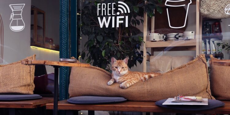 doi mat khau wifi illustration for Đổi mật khẩu wifi: Cách thực hiện nhanh chóng, hiệu quả tại nhà