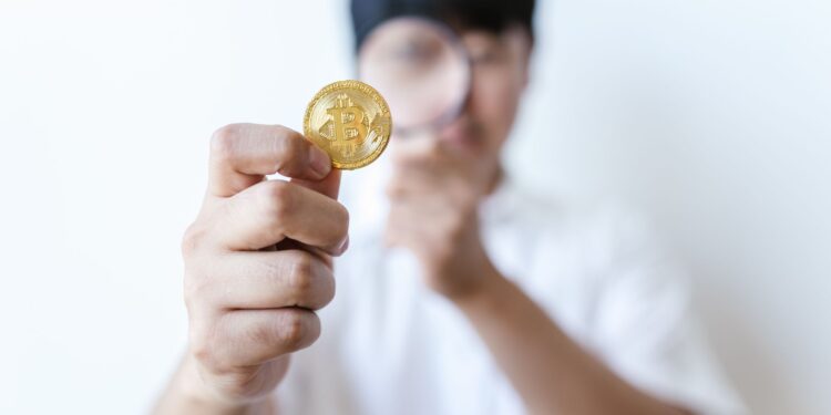 Illustration of Check CoinGecko: Mẹo kiểm tra tổng cung crypto cực chuẩn xác 2024