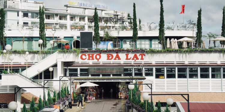 du lich da lat illustration for Du lịch Đà Lạt: Cẩm nang tự túc hoàn hảo từ A-Z
