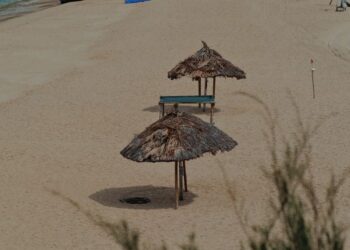du lich quy nhon tu tuc illustration for Du lịch Quy Nhơn tự túc: Cẩm nang hoàn hảo với 10 địa điểm hot