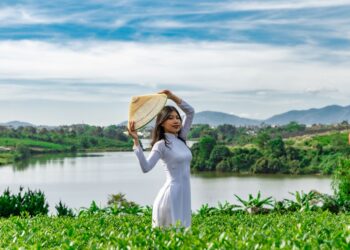Illustration of Nên mua bảo hiểm du lịch quốc tế nào: Bí quyết chọn tốt nhất