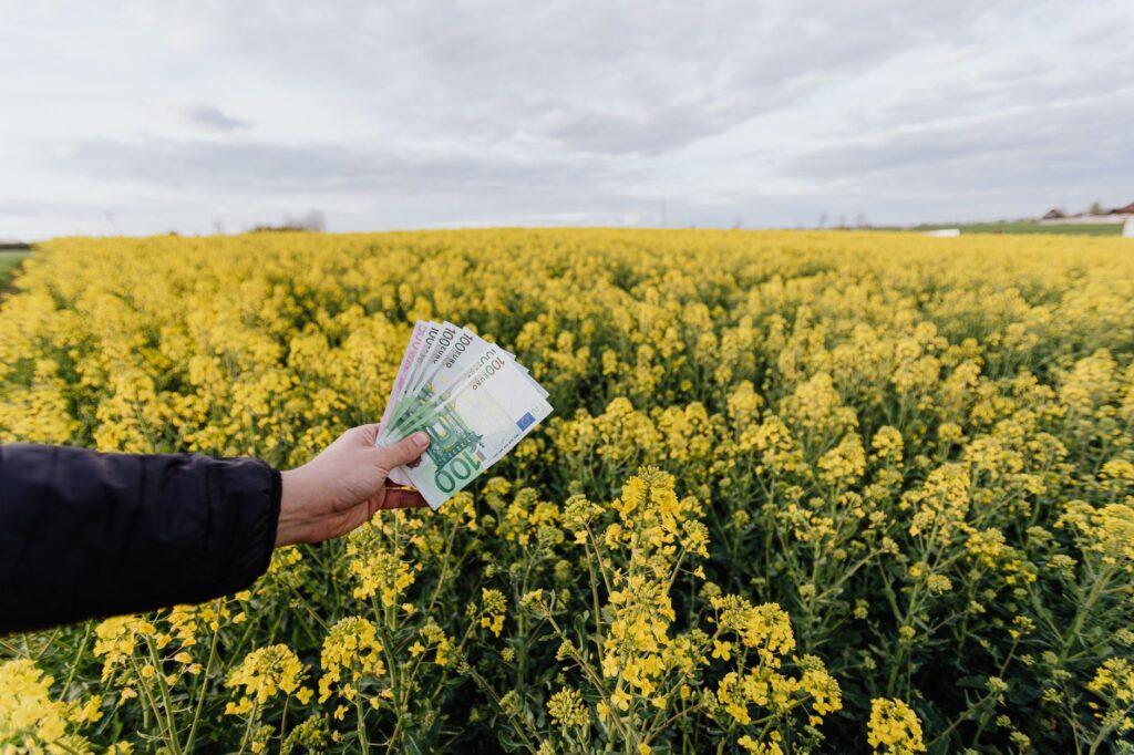 Illustration of Yield Farming: Hướng dẫn kiếm lãi DeFi thông minh và an toàn