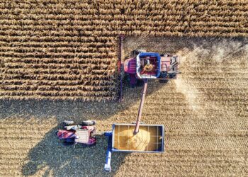 Illustration of Yield Farming: Hướng dẫn kiếm lãi DeFi thông minh và an toàn