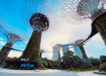 Illustration of Lịch trình du lịch Singapore 4 ngày: Bí kíp tuyệt đỉnh, tiết kiệm