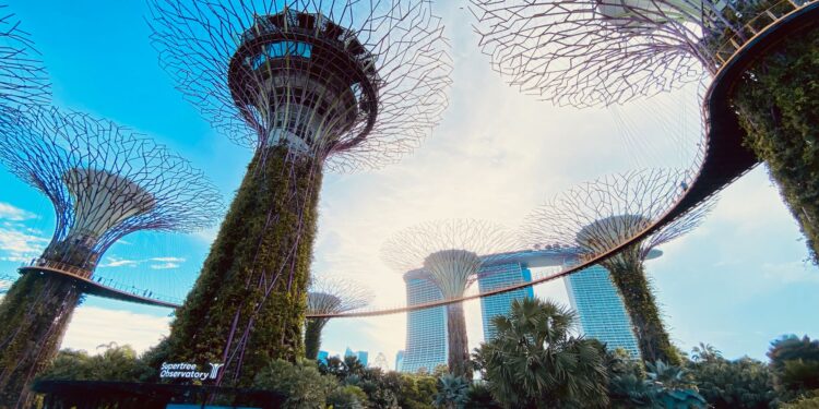 Illustration of Lịch trình du lịch Singapore 4 ngày: Bí kíp tuyệt đỉnh, tiết kiệm
